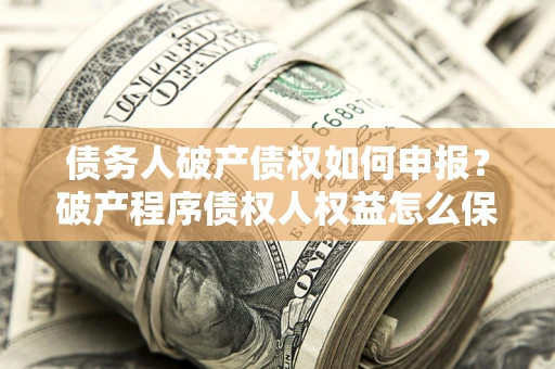 北京债务人破产债权如何申报？破产程序债权人权益怎么保障？