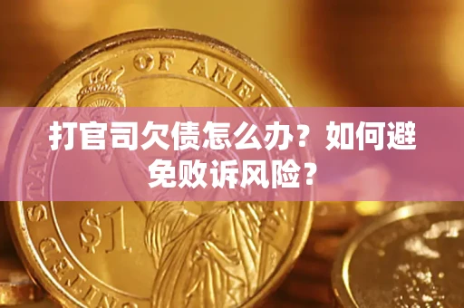 北京打官司欠债怎么办？如何避免败诉风险？