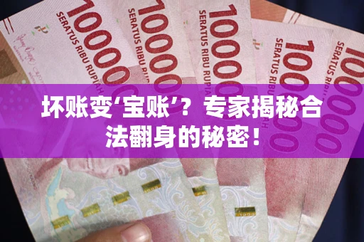北京坏账变‘宝账’？专家揭秘合法翻身的秘密！