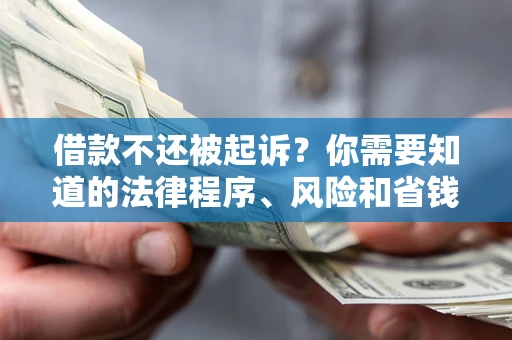 北京借款不还被起诉？你需要知道的法律程序、风险和省钱技巧