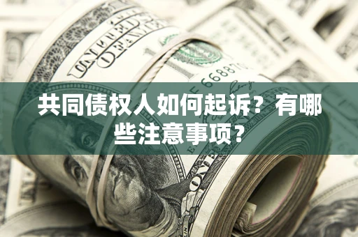 北京共同债权人如何起诉？有哪些注意事项？